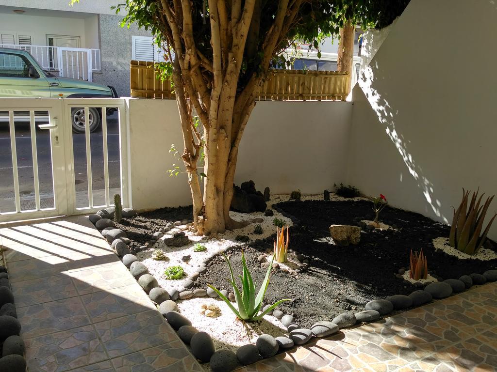 Greentree House Corralejo Eksteriør billede