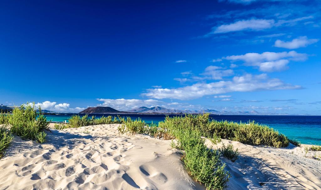 Greentree House Corralejo Eksteriør billede